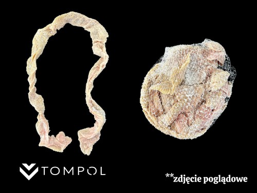 Kątnica Wieprzowa.jpg