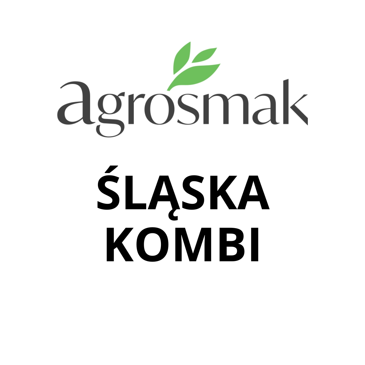 ŚLĄSKA KOMBI.jpg
