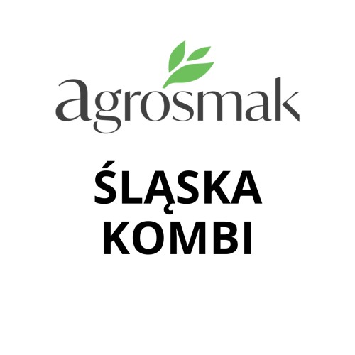 ŚLĄSKA KOMBI.jpg